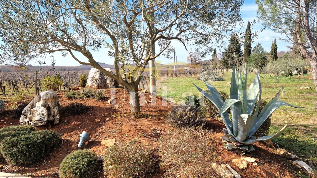 Posebno posestvo z veliko zasebnosti v bližini Poreča